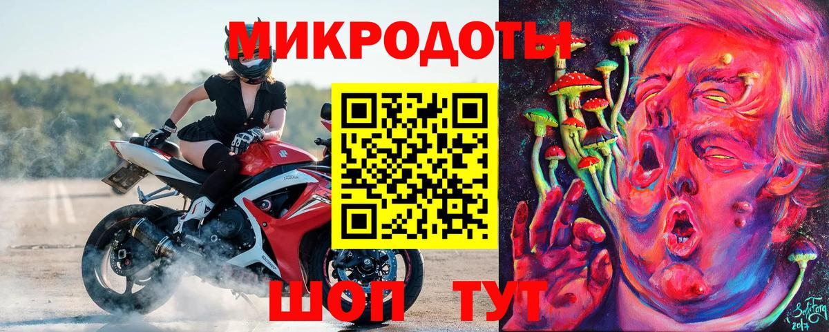 Псилоцибиновые грибы Psilocybe  Вход с VPN  Урус-Мартан 